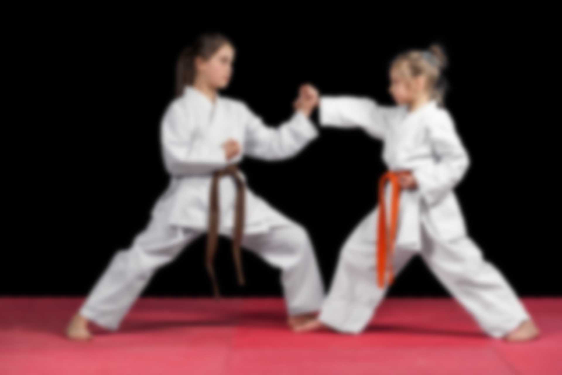 //ummamartialarts.ca/wp-content/uploads/2018/02/img_11.jpg